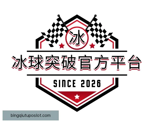 认识冰球突破官方平台